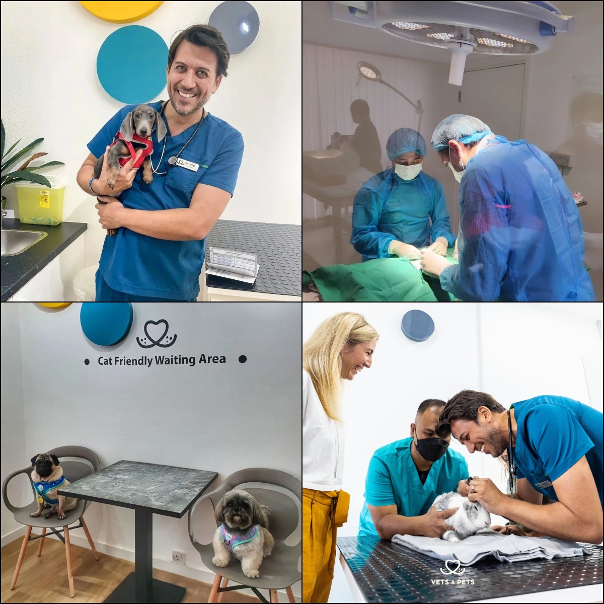 Veterinary Services in Dubai