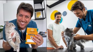 Vets & Pets: Cat-Friendly Veterinary in Dubai