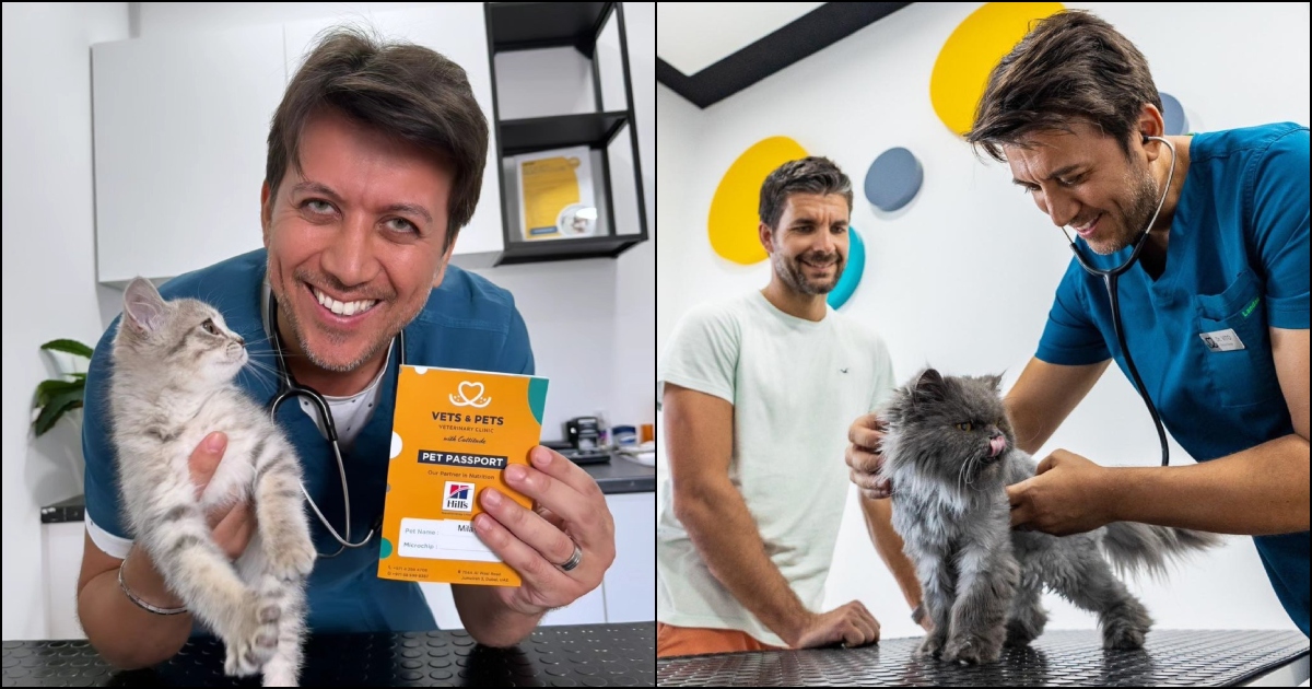 Vets & Pets: Cat-Friendly Veterinary in Dubai