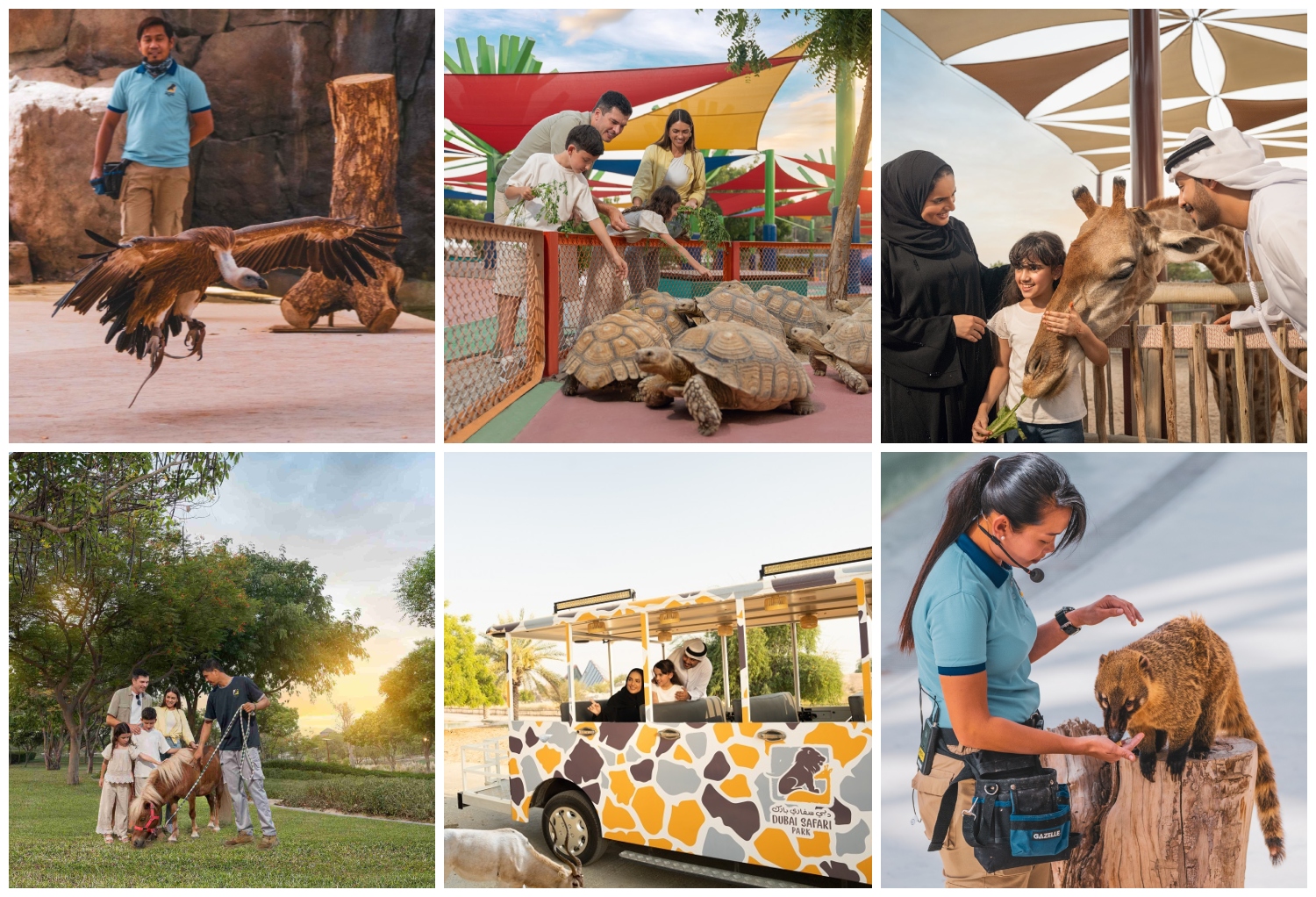 Activities at Dubai Safari Park